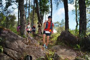 BIB: 
                            <button type="button" onclick="openModal(18960551)" class="btn btn-primary btn-sm float-right btn-popup" data-toggle="modal" data-target=".modal-high-quality">
                        <i class="fas fa-shopping-cart"></i> Add to Cart
                    </button>
                                            <button type="button" onclick="isThisMe(18960551, true)" class="btn btn-success btn-sm float-right btn-popup btn-isme hidden" data-toggle="tooltip" data-placement="bottom" title="นี่คือรูปของคุณใช่ไหม คลิกที่นี่เพื่อเอาเข้าอัลบั้ม">
                        <i class="fas fa-plus"></i> Add to album
                    </button>
                    <button type="button" onclick="isThisMe(18960551, false)" class="btn btn-warning btn-sm float-right btn-popup btn-isnotme hidden">
                        <i class="fas fa-ban"></i> Remove from album
                    </button>